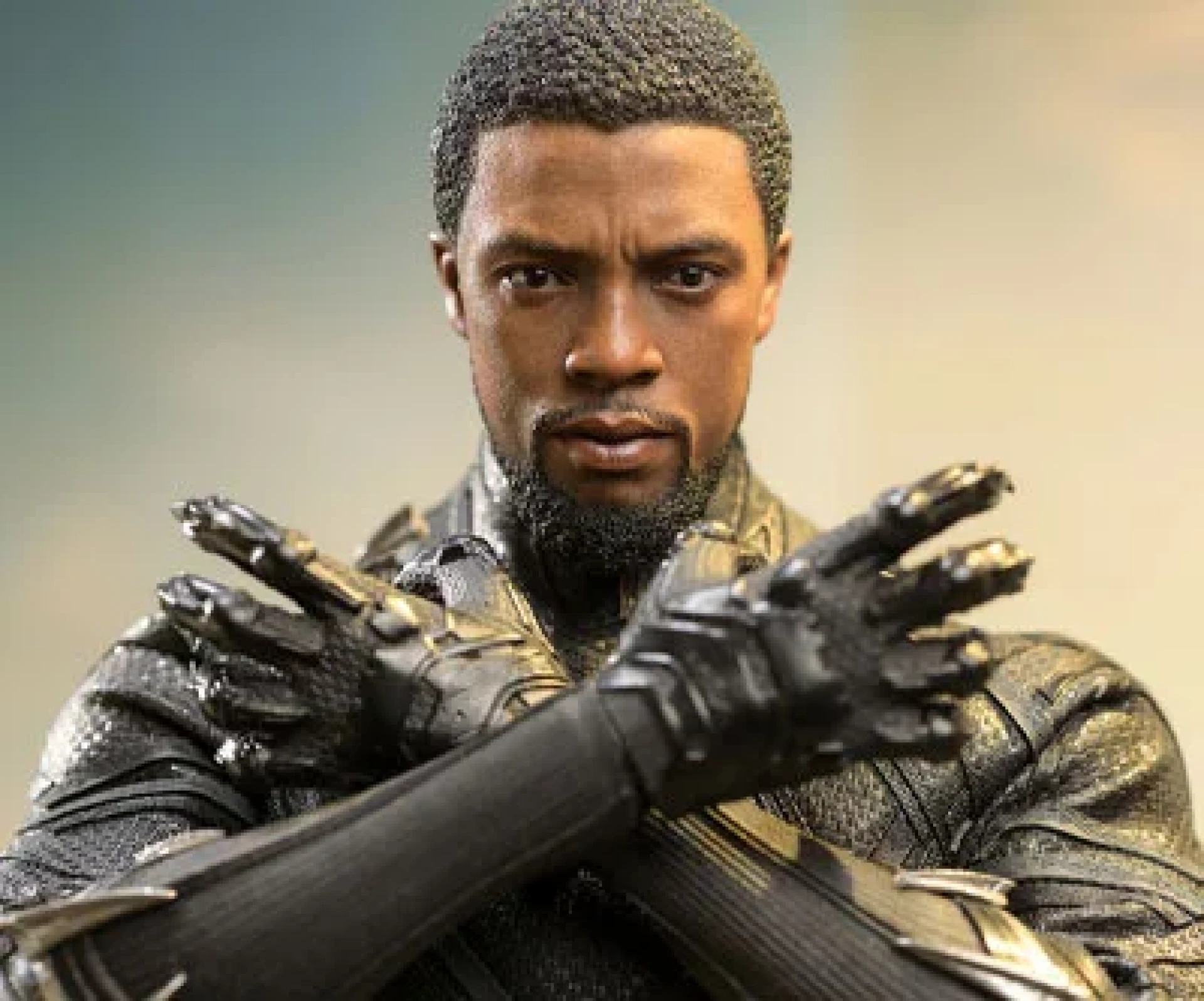 Black Panther Costume