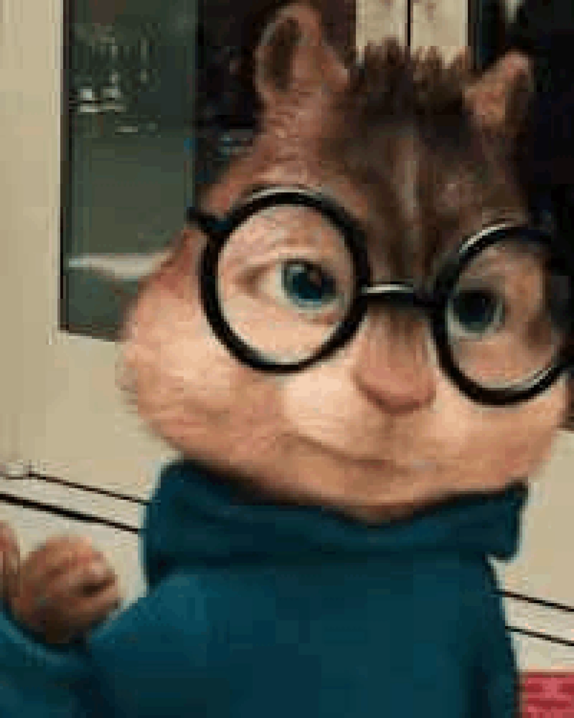 Alvin and the Chipmunks Simon Costume