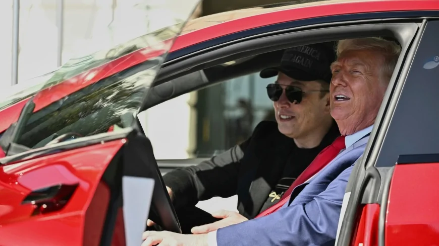 Tesla sales fell 13% in the last three months amid anti-Musk sentiment