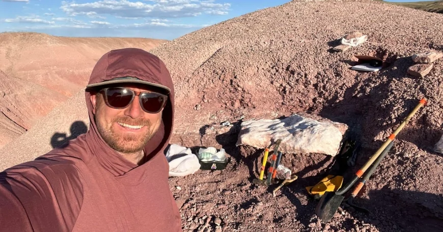 North America's oldest known pterosaur discovered in Arizona, researchers say