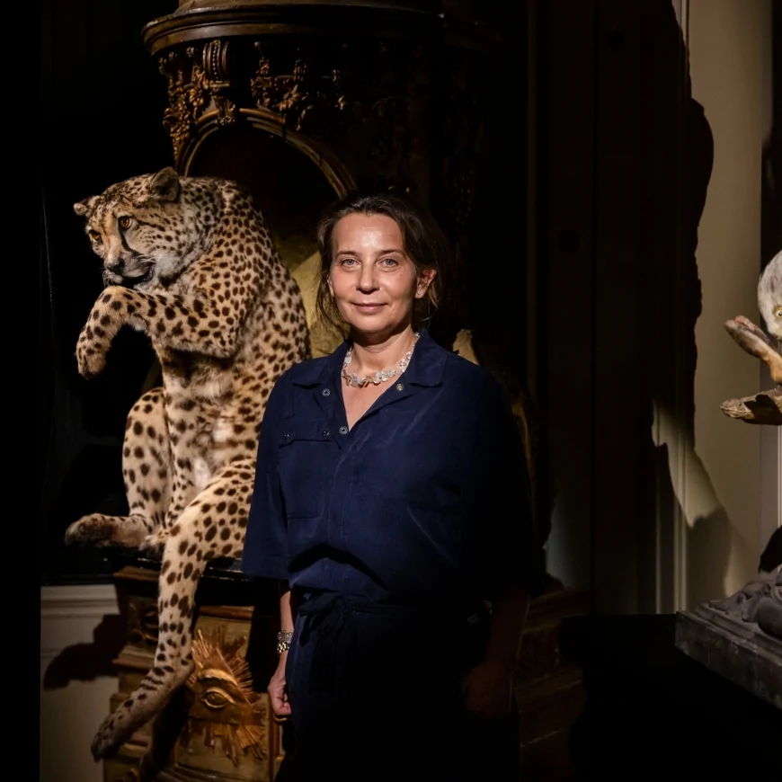 The Curious Animals of Amsterdam’s Art Zoo