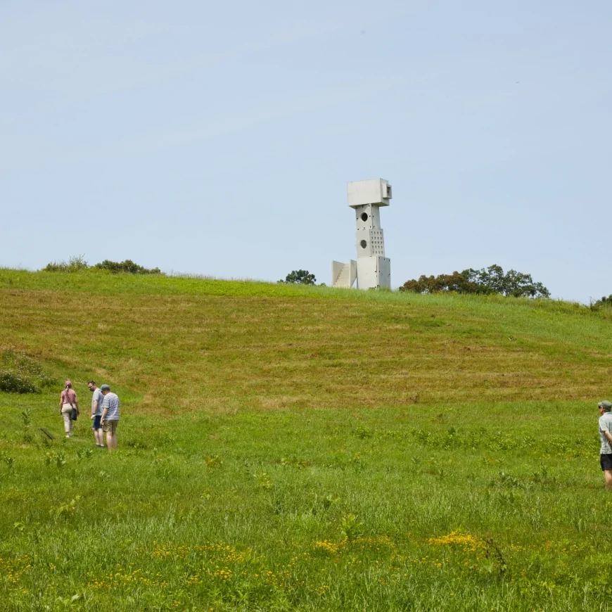 New York’s Best Summer Art Shows Are Upstate