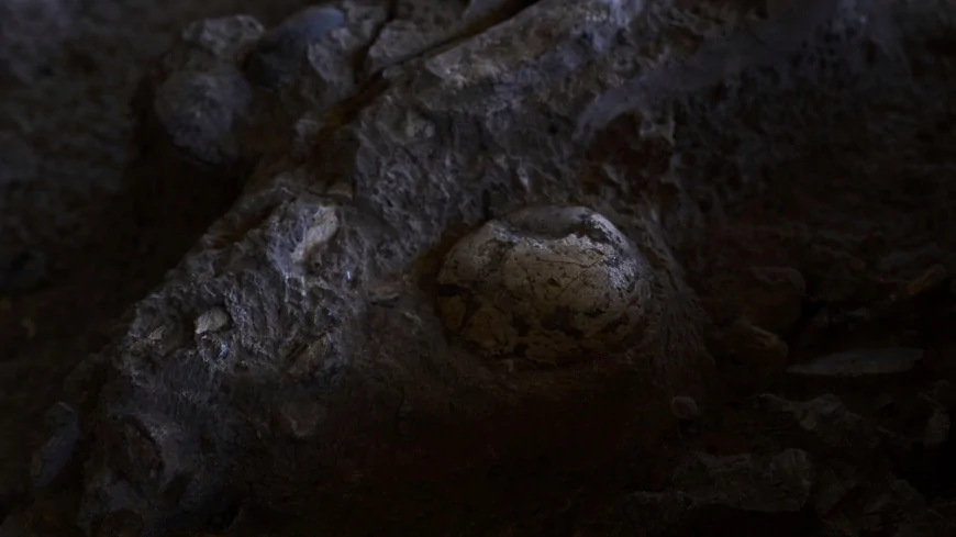100,00-year-old bones tell a story about the origins of burial rites