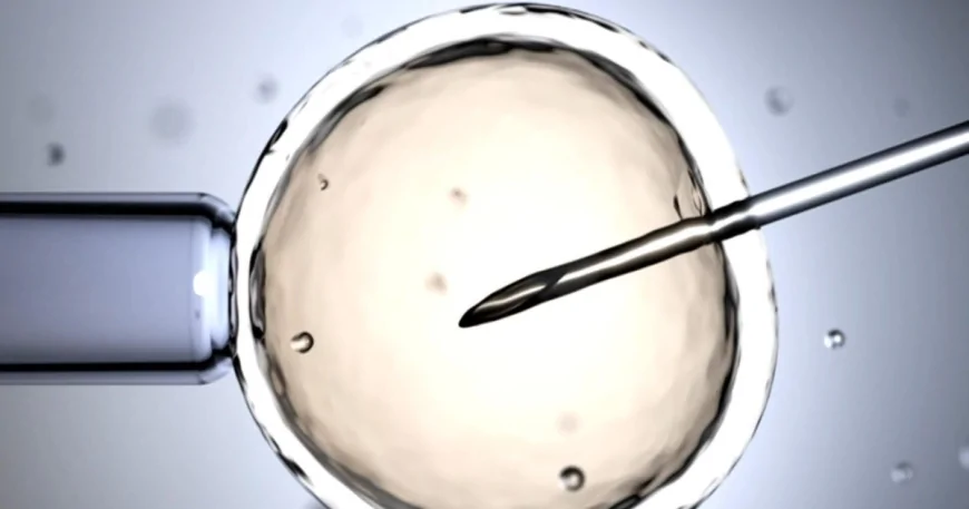 The science and ethics behind genetic embryo screening