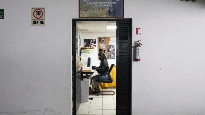 How high-tech tools and pigs, could help in search for Mexican drug cartel victims