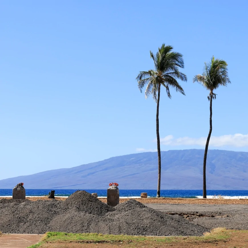Saving Hawaii’s History From the Ashes, One Object at a Time