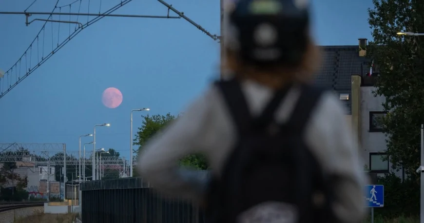 Perseids meteor shower will peak this week. But will the moon ruin views?